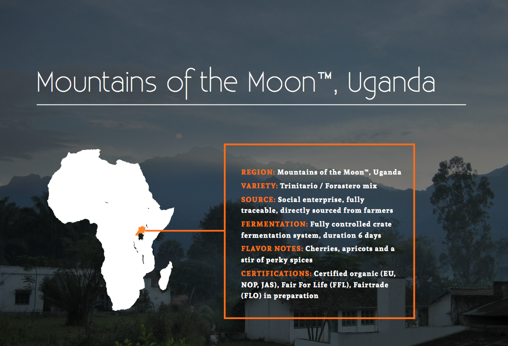 Mountains of the moon fine cocoa Uganda - Cocoanect 
